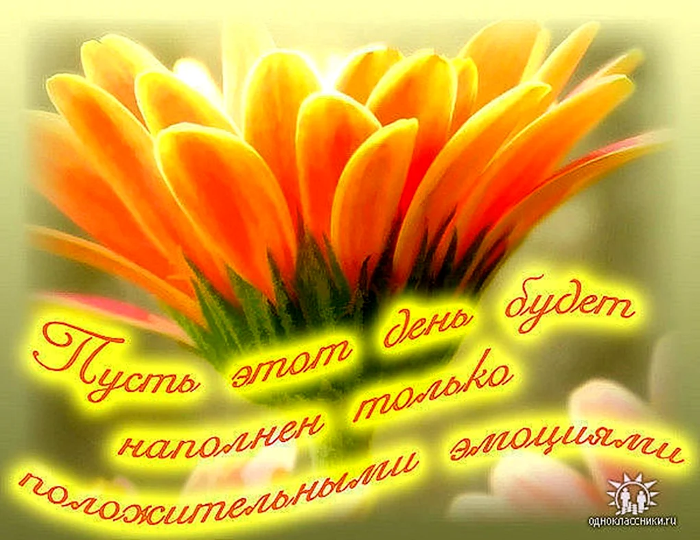 Солнечного дня и отличного настроения
