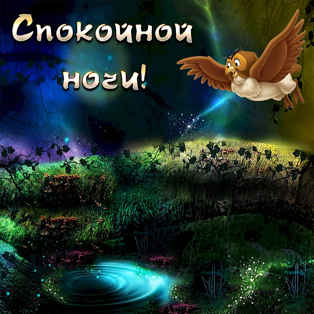 Спокойной ночи