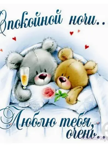 Спокойной ночи люблю тебя