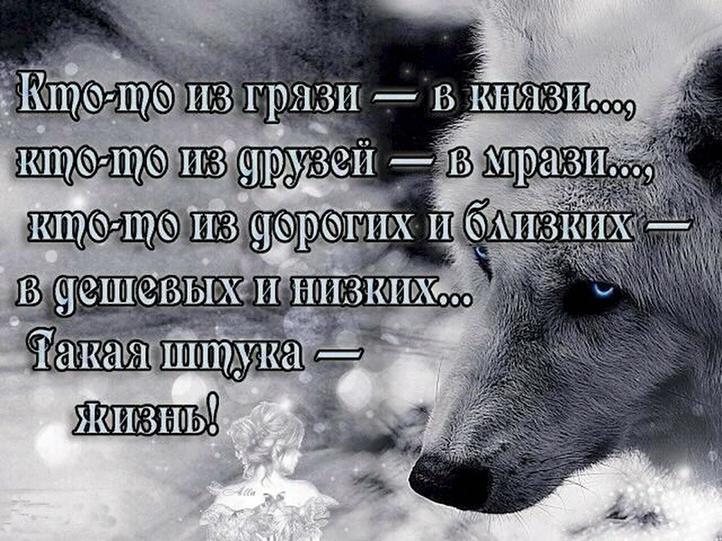 Статусы про жизнь