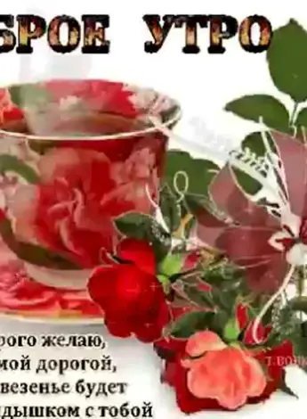 Стихи с добрым утром