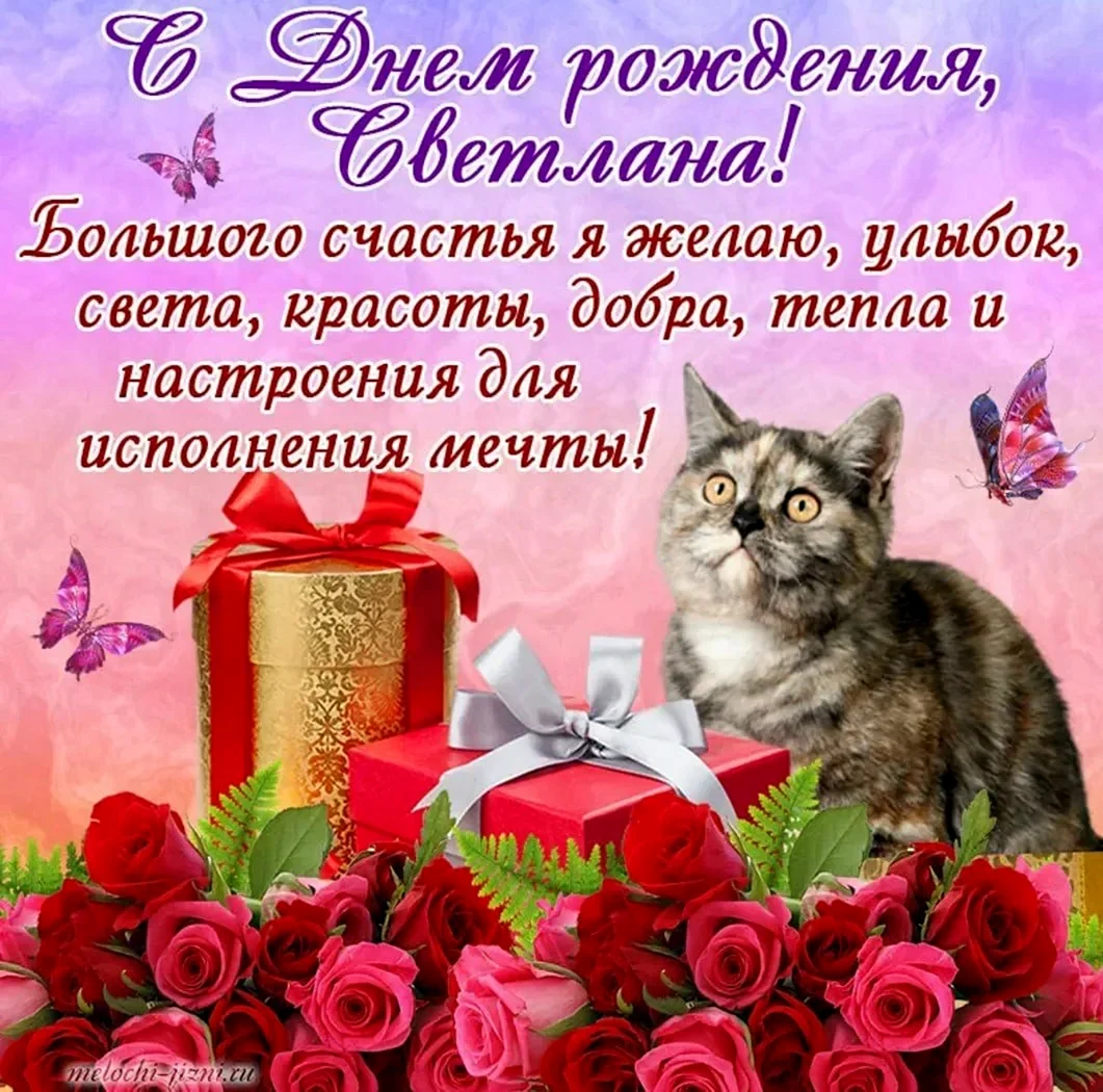 Света с днём рождения