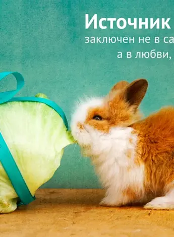 Цитаты про подарки