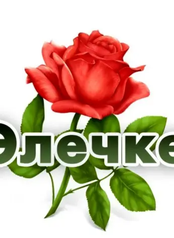 Цветы для Эли