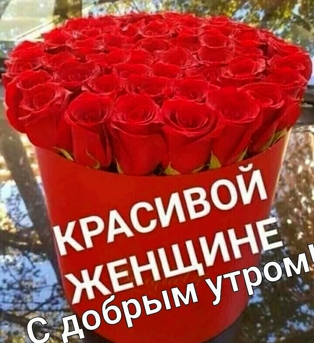 Цветы для красотки