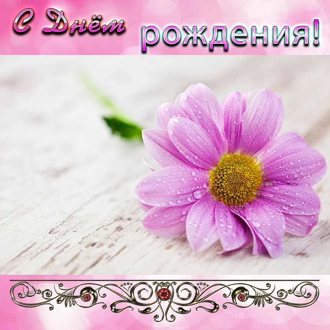 Цветы картинки
