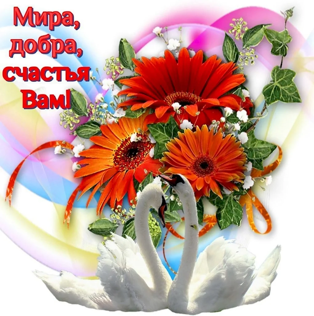Цветы с добрыми пожеланиями