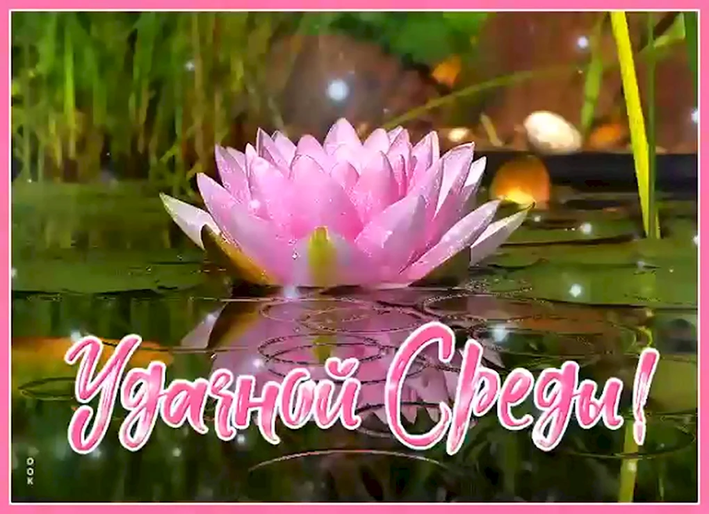 Удачного дня природа с пожеланиями