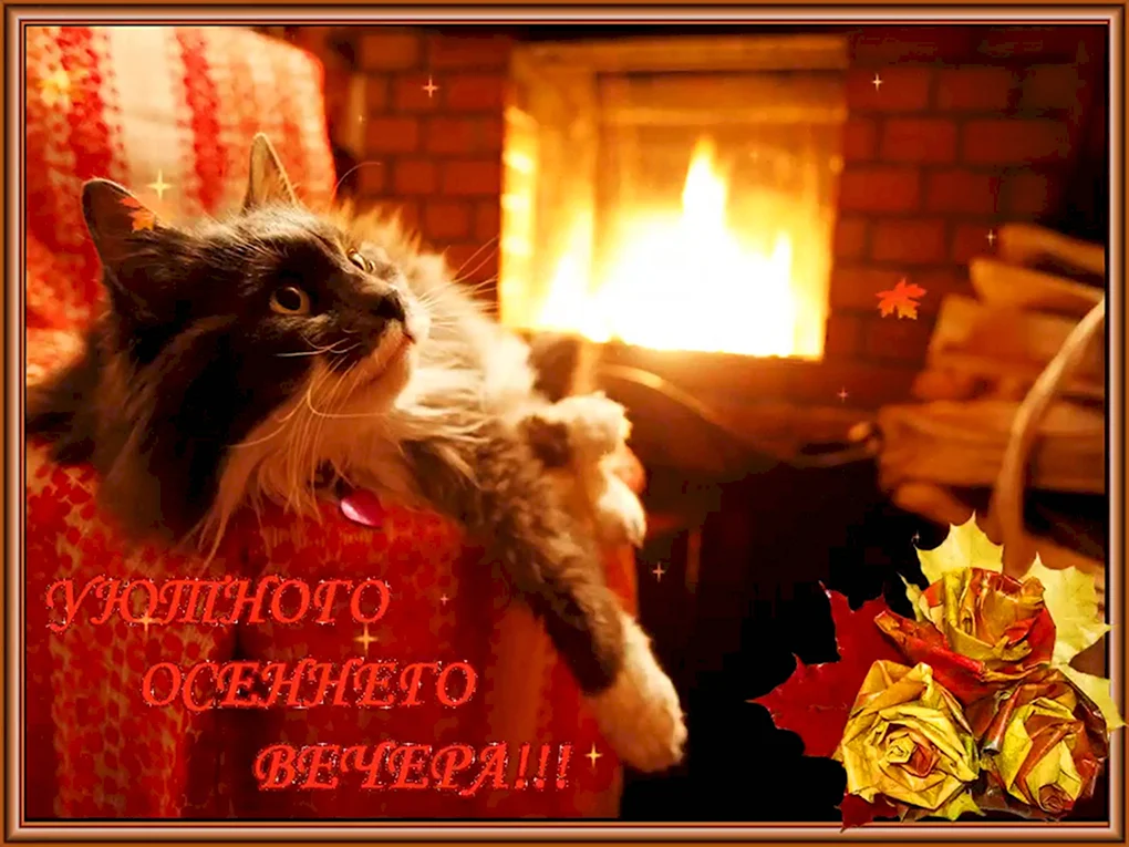 Уютного вечера