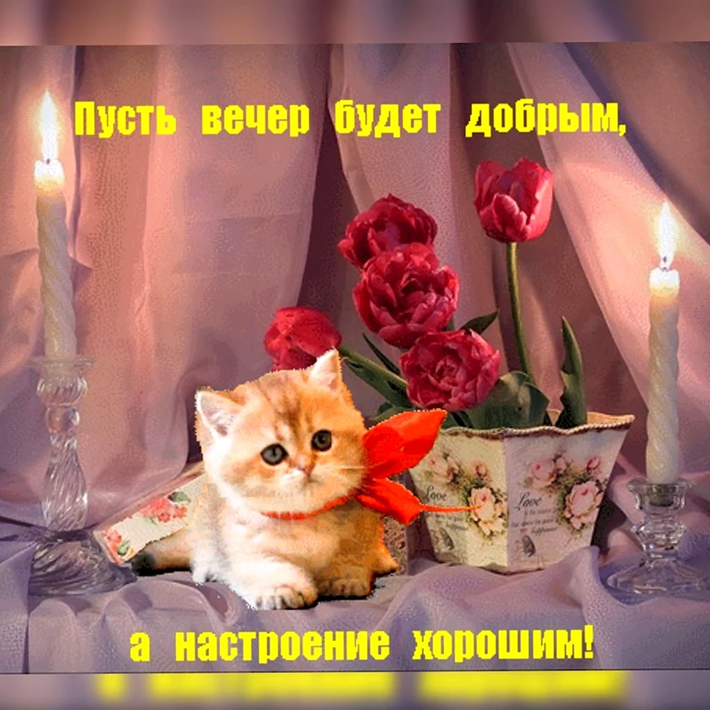 Уютного вечера и хорошего настроения