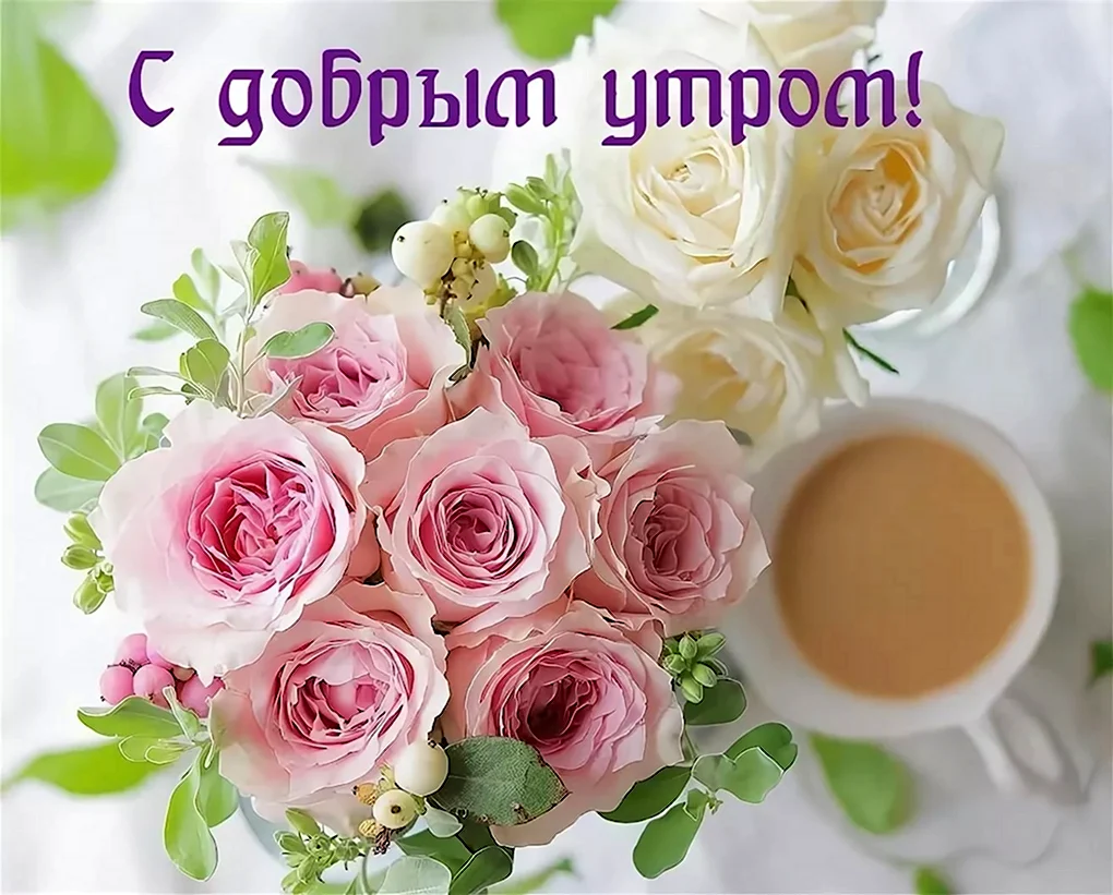 Утренние цветы