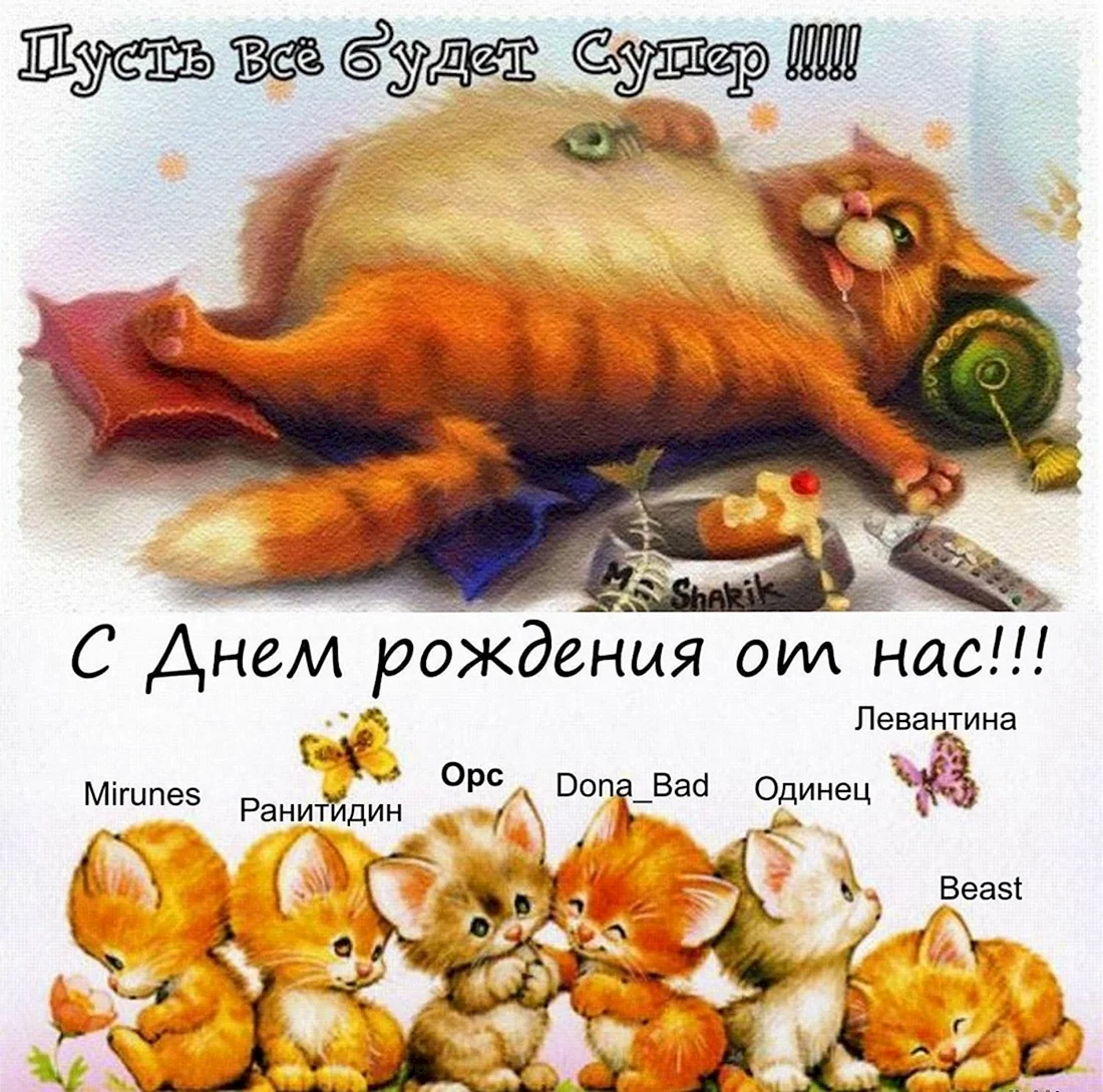 Веселые поздравления
