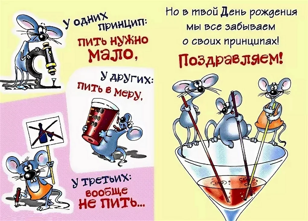 Веселые поздравления