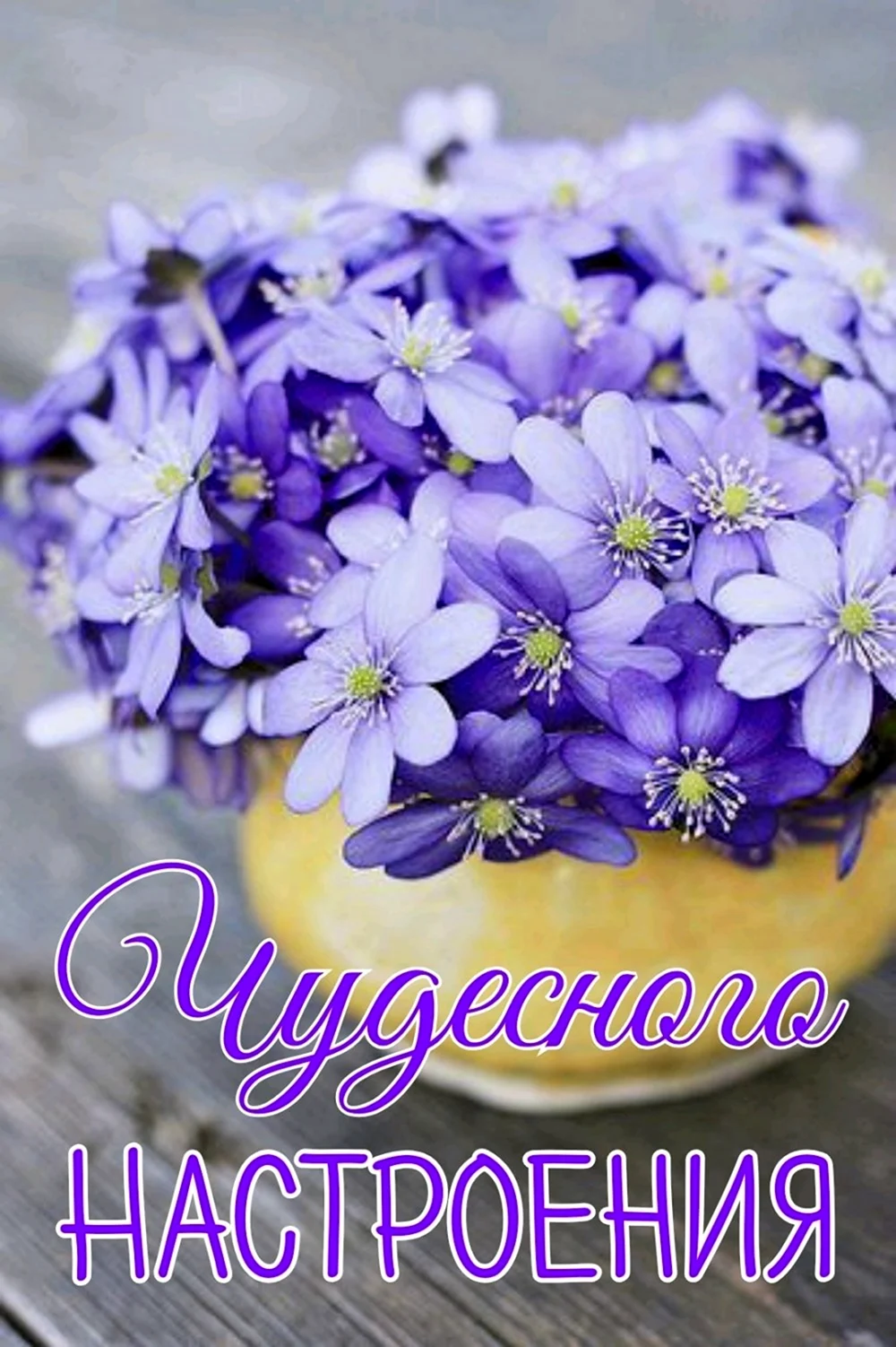 Весенние цветы