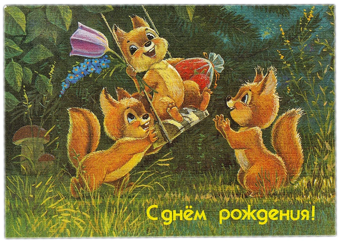 Владимир Зарубин белочки
