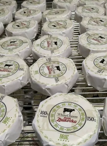 White Cheese from Zhukovka сыр Бри