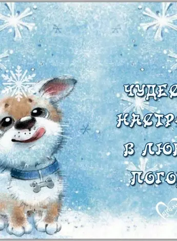 Зимнее настроение