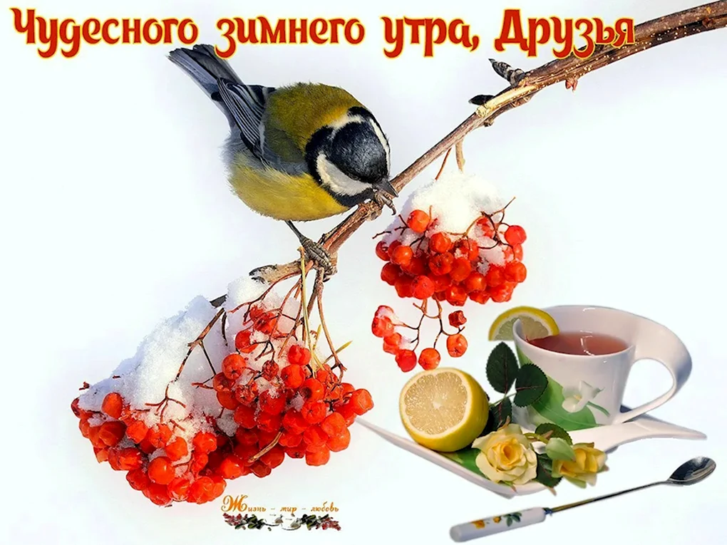 Зимние поздравления с добрым утром